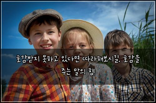 호감받지 못하고 있다면 따라해보시길. 호감을 주는 말의 힘!
