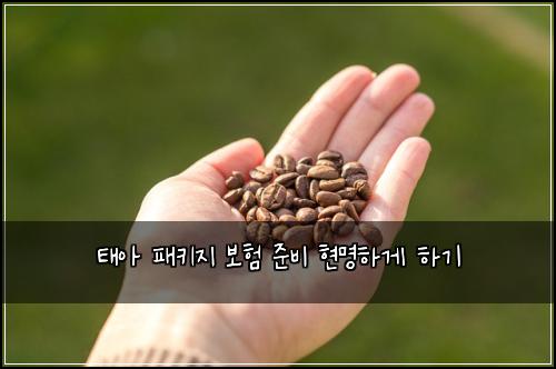 태아 패키지 보험 준비 현명하게 하기