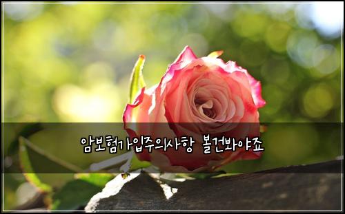 ์๋ณดํ๊ฐ์
์ฃผ์์ฌํญ ๋ณผ๊ฑด๋ด์ผ์ฃ