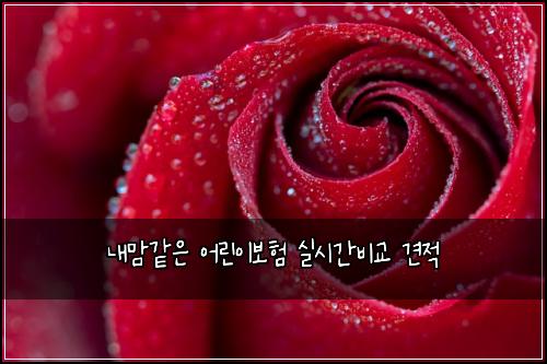 내맘같은 어린이보험 실시간비교  견적