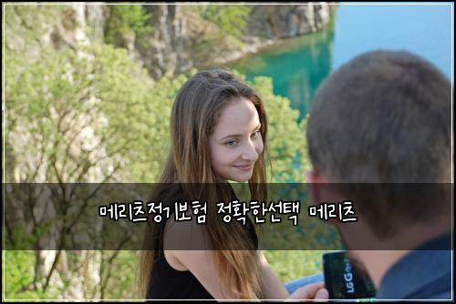 메리츠정기보험 정확한선택  메리츠