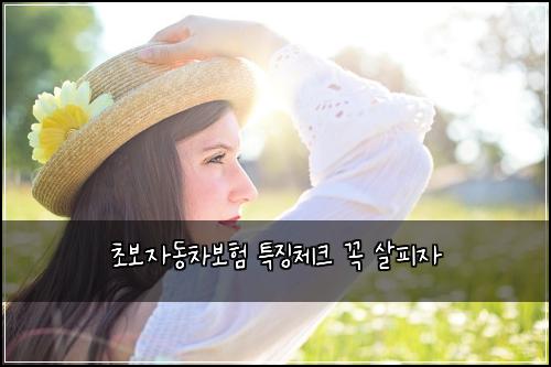 초보자동차보험 특징체크  꼭 살피자