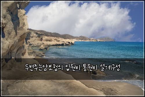 두번주는암보험의 입원비 통원비 설계구성