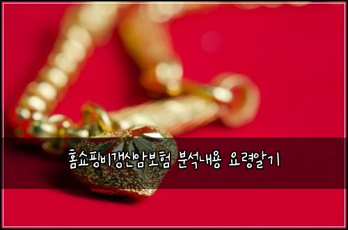 홈쇼핑비갱신암보험 분석내용  요령알기