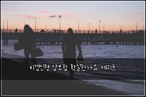 비갱신형 암보험 확실한가요  메리츠