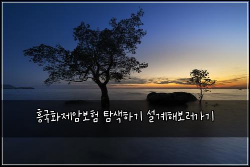 흥국화제암보험 탐색하기  설계해보러가기