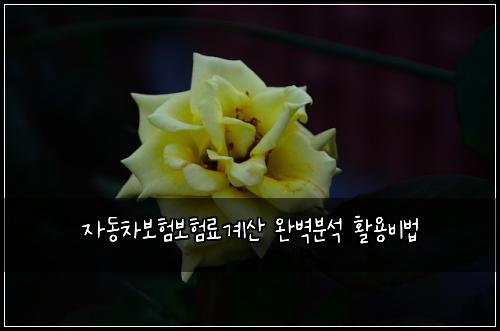 자동차보험보험료계산 완벽분석 활용비법