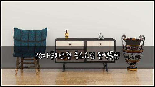 30자동차보험 중요요점  완벽플랜