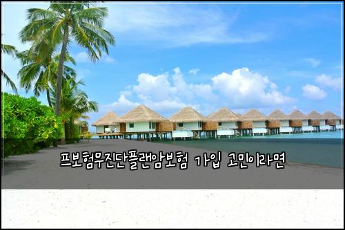 프보험무진단플랜암보험 가입 고민이라면