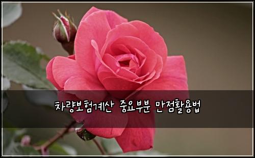차량보험계산 중요부분 만점활용법