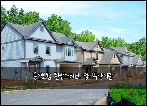 종신보험 한번더체크  정기특약이란