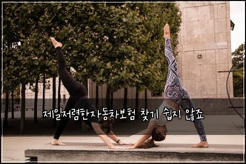 제일저렴한자동차보험 찾기 쉽지 않죠