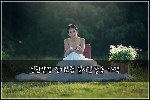 신한생명 정기보험 실시간활용  가격
