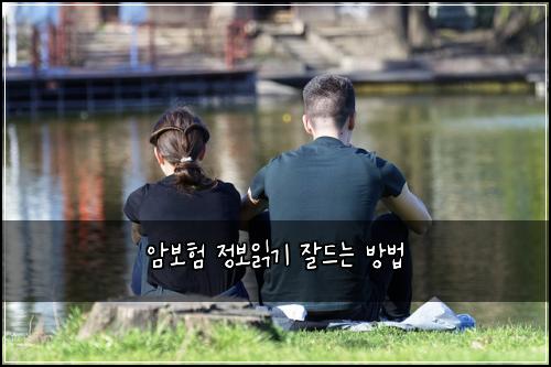 암보험 정보읽기  잘드는 방법