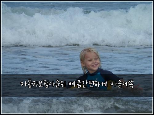 자동차보험사순위 빠름간편하게 마음에쏙