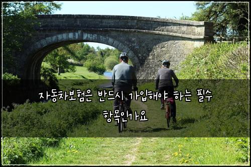자동차보험은 반드시 가입해야 하는 필수 항목인가요