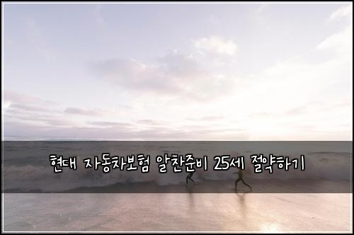 현대 자동차보험 알찬준비  25세 절약하기
