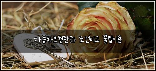 자동차보험한화 조건비교 꿀팁이욤