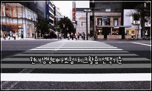 현대생명태아보험 체크활용  선택기준