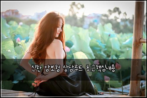 신한 암보험 상담루트  최근핵심내용