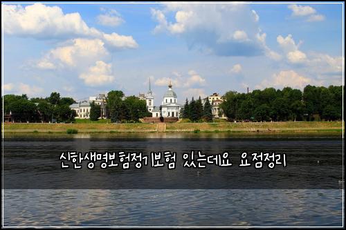 신한생명보험정기보험 있는데요 요점정리