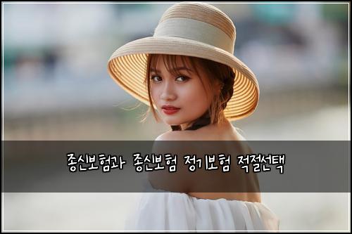 종신보험과 종신보험 정기보험 적절선택