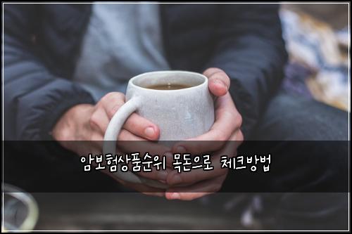 암보험상품순위 목돈으로 체크방법