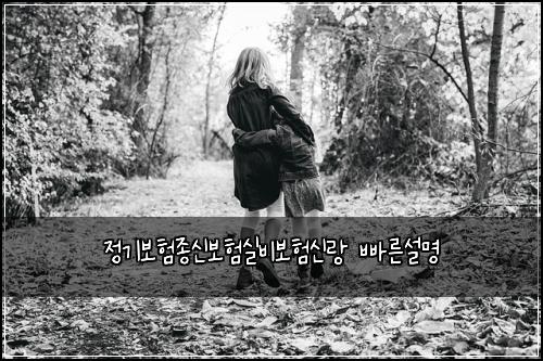 정기보험종신보험실비보험신랑 빠른설명
