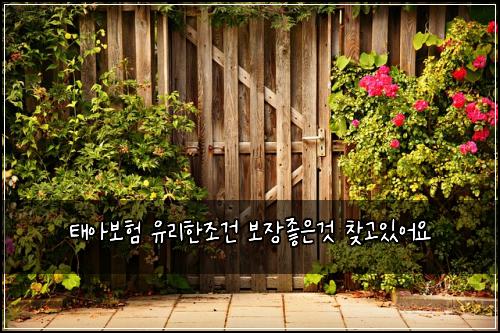 태아보험 유리한조건  보장좋은것 찾고있어요