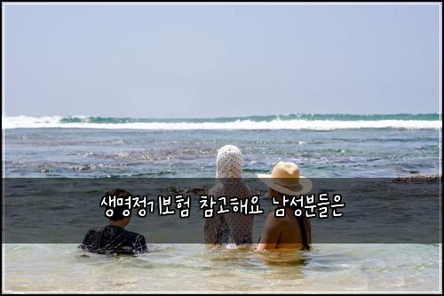 생명정기보험 참고해요  남성분들은