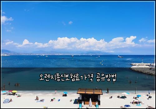 오렌지종신보험료가격 공유방법