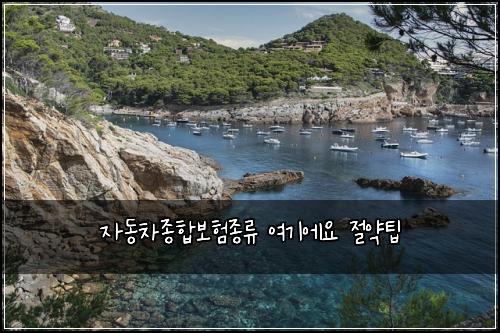 자동차종합보험종류 여기에요 절약팁
