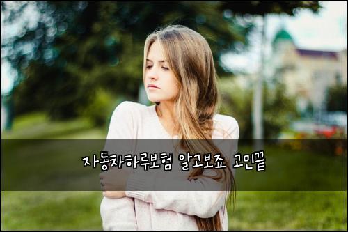 ์๋์ฐจํ๋ฃจ๋ณดํ ์๊ณ ๋ณด์ฃ ๊ณ ๋ฏผ๋