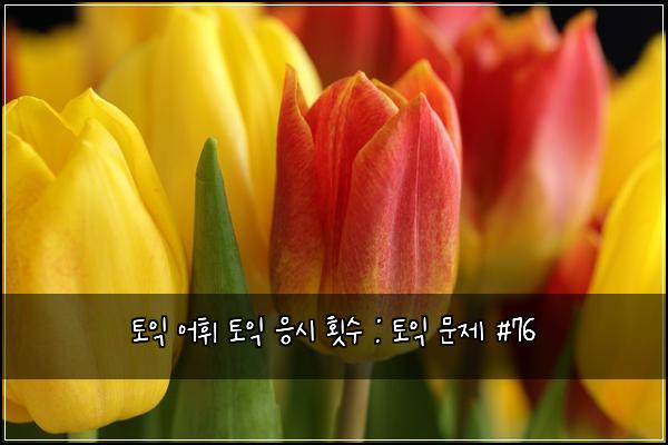 토익 어휘 토익 응시 횟수 : 토익 문제 #76