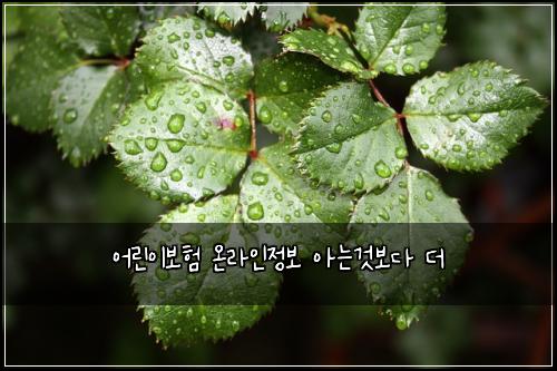 ์ด๋ฆฐ์ด๋ณดํ ์จ๋ผ์ธ์ ๋ณด ์๋๊ฒ๋ณด๋ค ๋