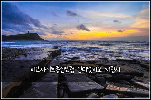 비교사이트종신보험 인터넷비교  지침서