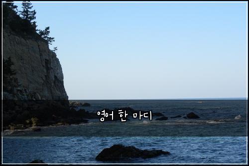 영어 한 마디