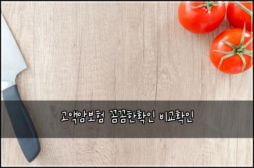 고액암보험 꼼꼼한확인  비교확인