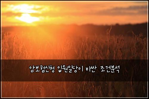 암보험신청 입원일당이 비싼 조건분석