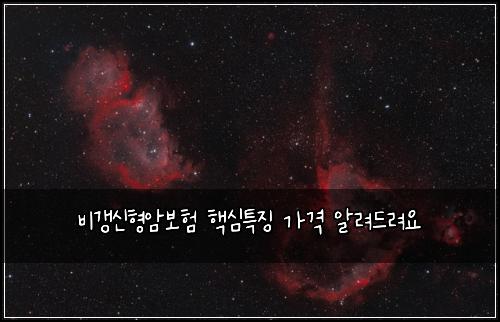 비갱신형암보험 핵심특징  가격 알려드려요