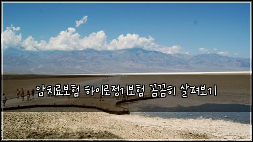 암치료보험 하이로정기보험 꼼꼼히 살펴보기