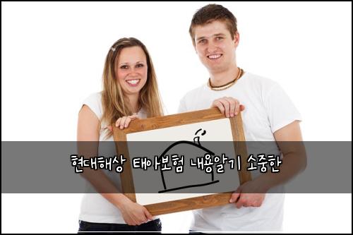 현대해상 태아보험 내용알기  소중한