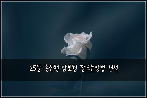 25살 종신형 암보험 잘드는방법  견적