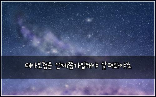 태아보험은 언제쯤가입해야 살펴봐야죠