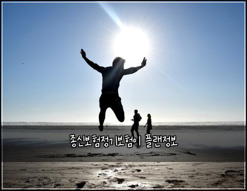 종신보험정기보험이 플랜정보