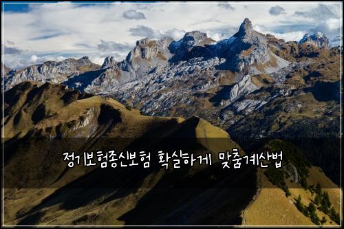 정기보험종신보험 확실하게 맞춤계산법