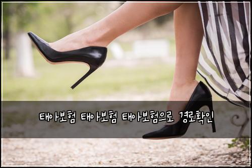 태아보험 태아보험 태아보험으로 경로확인