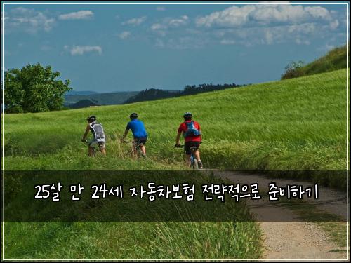 25살 만 24세 자동차보험 전략적으로 준비하기