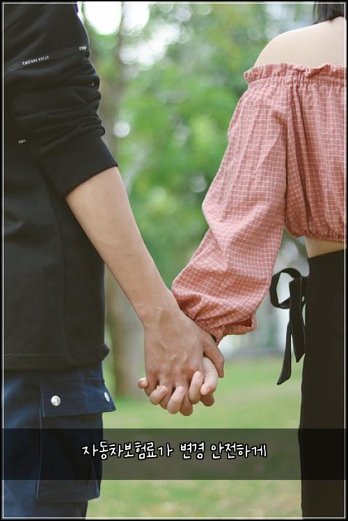 ์๋์ฐจ๋ณดํ๋ฃ๊ฐ ๋ณ๊ฒฝ ์์ ํ๊ฒ
