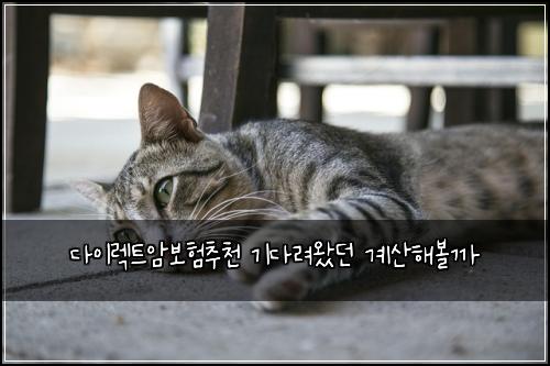 다이렉트암보험추천 기다려왔던 계산해볼까